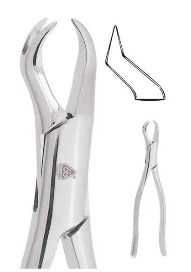 FORCEPS 88L 6B
