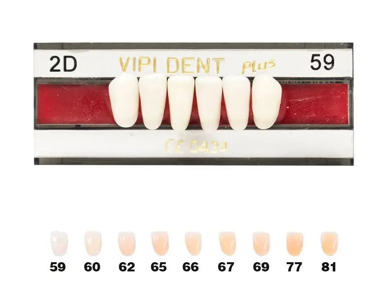 DIENTE ANTERIOR INF VIPI DENT 2D/59