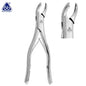 FORCEPS 17 6B
