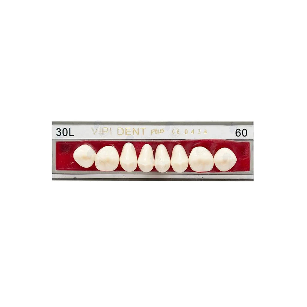 DIENTE POSTERIOR INFERIOR  VIPI DENT 30M/60 POSTERIORES
