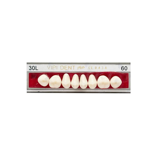 DIENTE POSTERIOR INFERIOR  VIPI DENT 30M/60 POSTERIORES