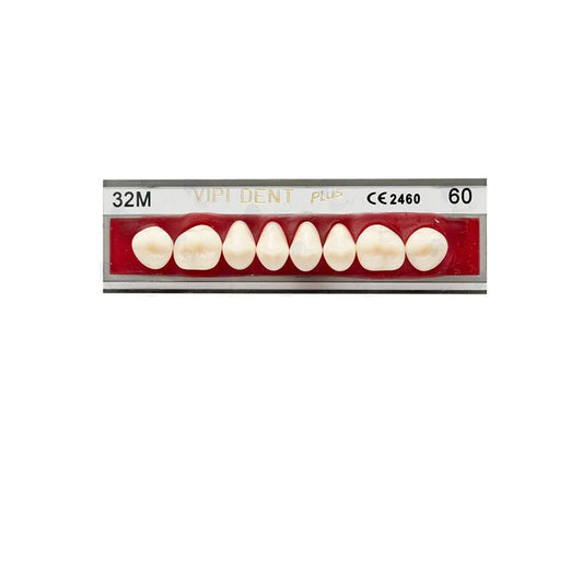 DIENTE POSTERIOR SUP VIPI DENT 32M/60 POSTERIOR