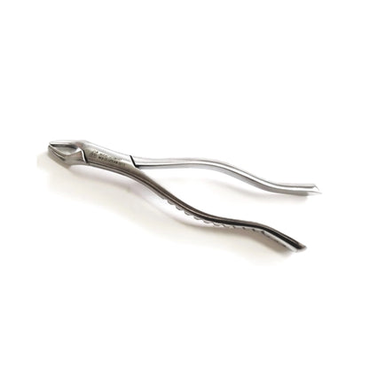 FORCEPS 10S 6B