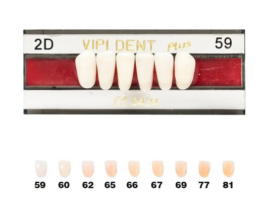 DIENTE ANTERIOR INF VIPI DENT 2D/59
