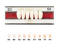 DIENTE ANTERIOR INF VIPI DENT 2D/59